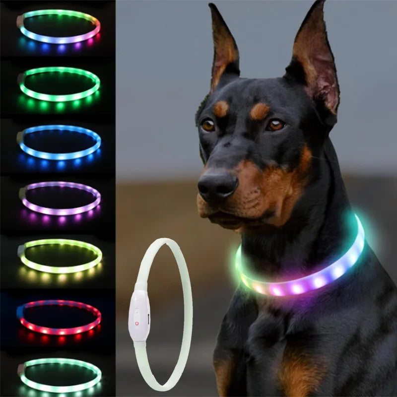 LED Rechargeable Dog Collar — USB Glow Collar with 9 Flashing Modes for Safe Night Walks