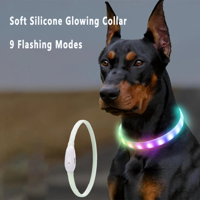 LED Rechargeable Dog Collar — USB Glow Collar with 9 Flashing Modes for Safe Night Walks