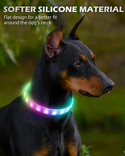 LED Rechargeable Dog Collar — USB Glow Collar with 9 Flashing Modes for Safe Night Walks