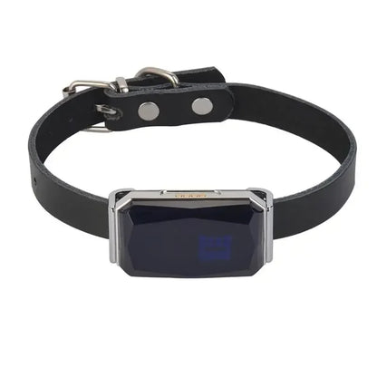 GPS Dog Tracker — IP67 Waterproof Pet Collar with WiFi Real-Time Location & Anti-Lost Alerts