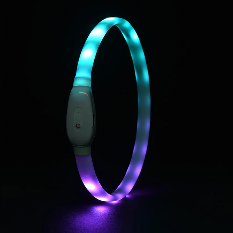 LED Rechargeable Dog Collar — USB Glow Collar with 9 Flashing Modes for Safe Night Walks