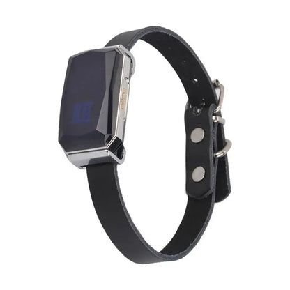 GPS Dog Tracker — IP67 Waterproof Pet Collar with WiFi Real-Time Location & Anti-Lost Alerts