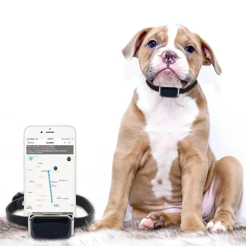 GPS Dog Tracker — IP67 Waterproof Pet Collar with WiFi Real-Time Location & Anti-Lost Alerts