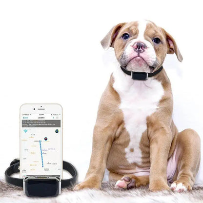GPS Dog Tracker — IP67 Waterproof Pet Collar with WiFi Real-Time Location & Anti-Lost Alerts