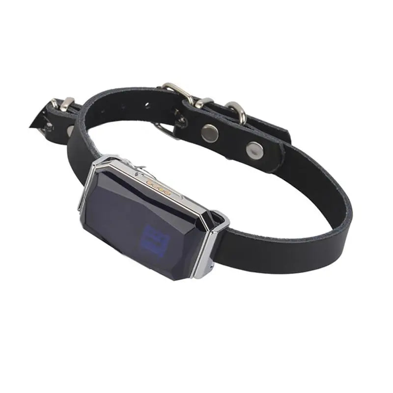 GPS Dog Tracker — IP67 Waterproof Pet Collar with WiFi Real-Time Location & Anti-Lost Alerts