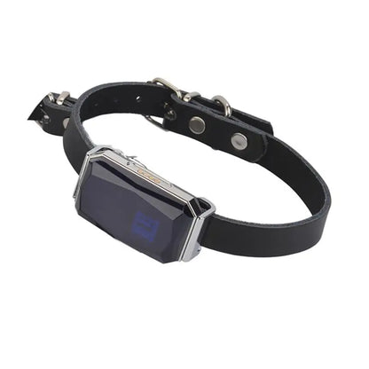GPS Dog Tracker — IP67 Waterproof Pet Collar with WiFi Real-Time Location & Anti-Lost Alerts