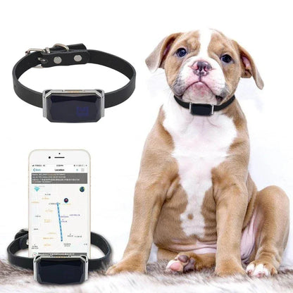 GPS Dog Tracker — IP67 Waterproof Pet Collar with WiFi Real-Time Location & Anti-Lost Alerts
