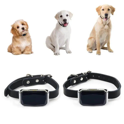 GPS Dog Tracker — IP67 Waterproof Pet Collar with WiFi Real-Time Location & Anti-Lost Alerts