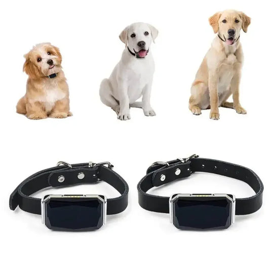 GPS Dog Tracker — IP67 Waterproof Pet Collar with WiFi Real-Time Location & Anti-Lost Alerts