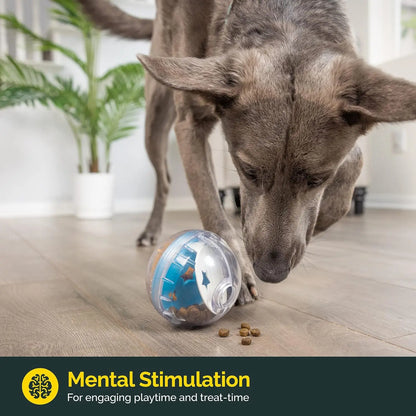 IQ Treat Dispensing Ball for Dogs — Interactive Puzzle Toy & Slow Feeder (3 Colours)