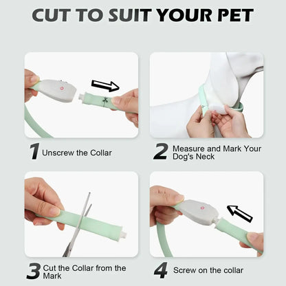 LED Rechargeable Dog Collar — USB Glow Collar with 9 Flashing Modes for Safe Night Walks