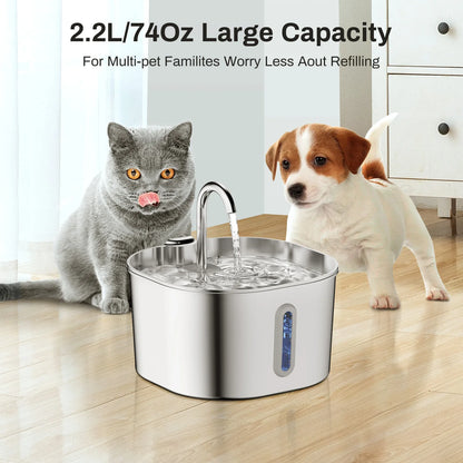 Smart Pet Feeder with HD Camera & App Control — Automatic WiFi Food Dispenser for Cats & Dogs
