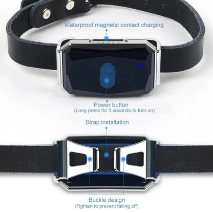 GPS Dog Tracker — IP67 Waterproof Pet Collar with WiFi Real-Time Location & Anti-Lost Alerts