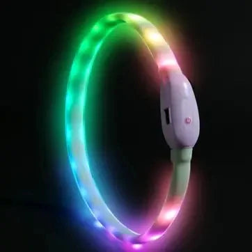 LED Rechargeable Dog Collar — USB Glow Collar with 9 Flashing Modes for Safe Night Walks