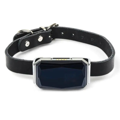 GPS Dog Tracker — IP67 Waterproof Pet Collar with WiFi Real-Time Location & Anti-Lost Alerts